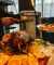 restaurant President Baile Felix